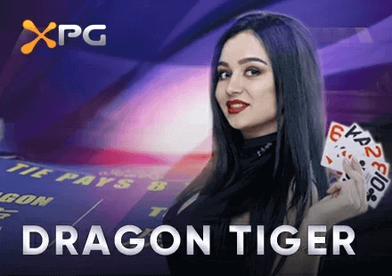 dragon tiger